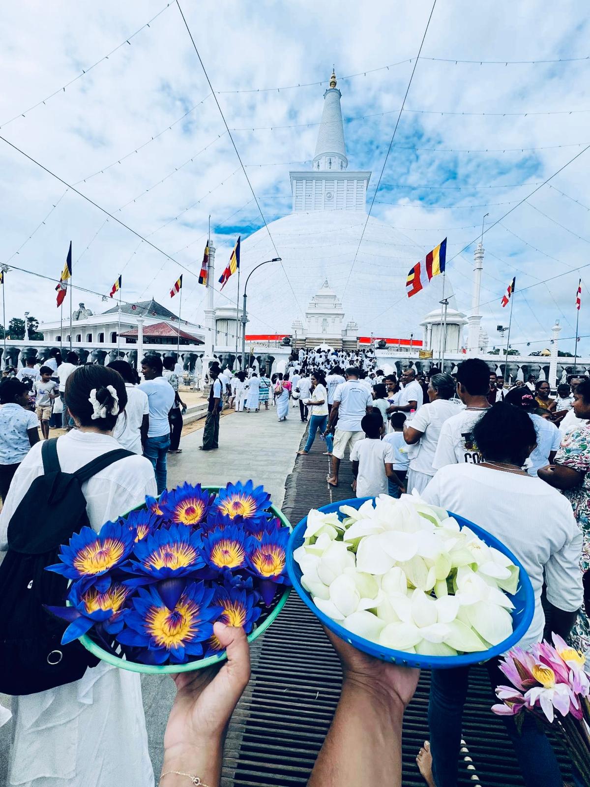 8 Days Sri Lanka Tour