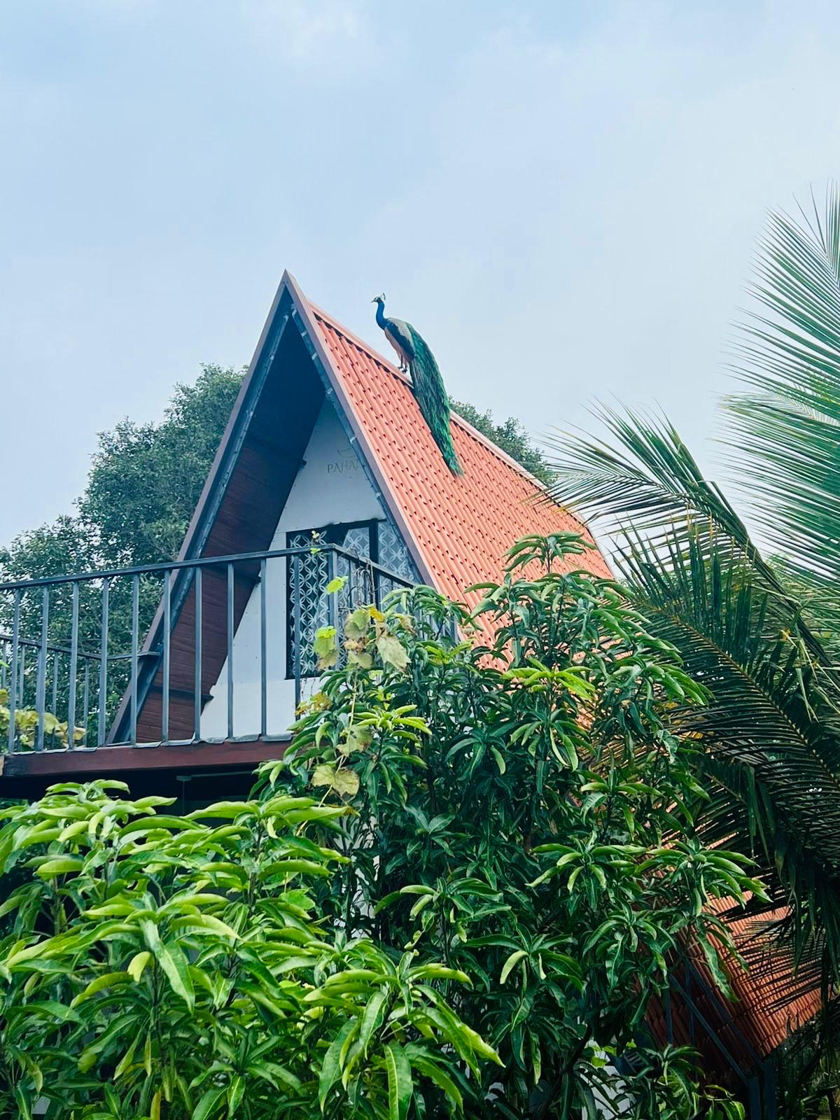 Sri Lanka Adventure